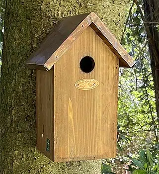 Achat nichoir Mésange charbonnière