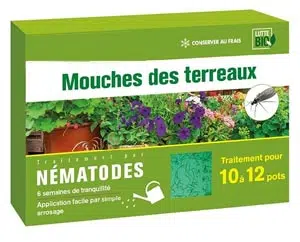 Les nématodes pour lutter contre les moucherons dans le terreau