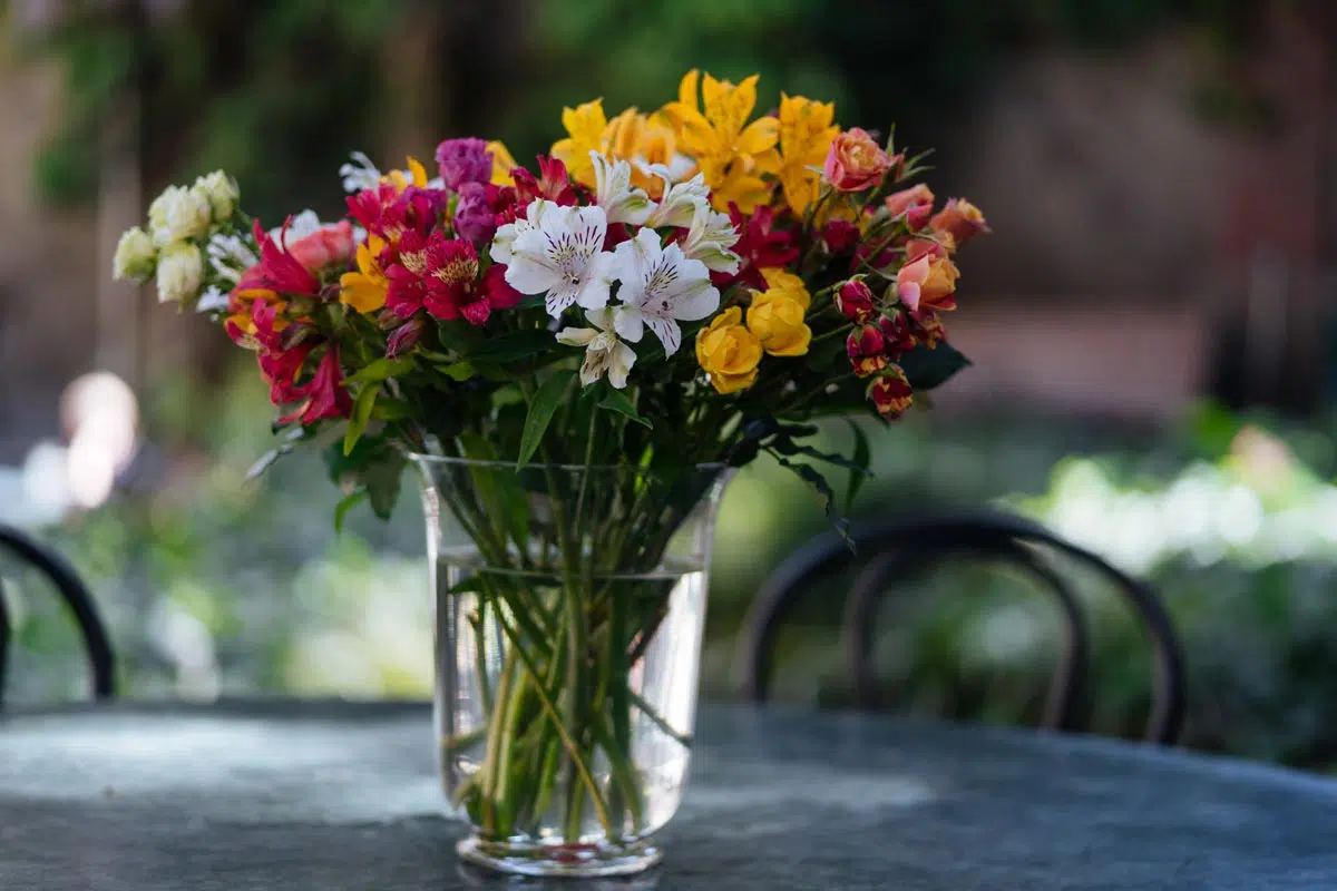 Bouquet de fleurs