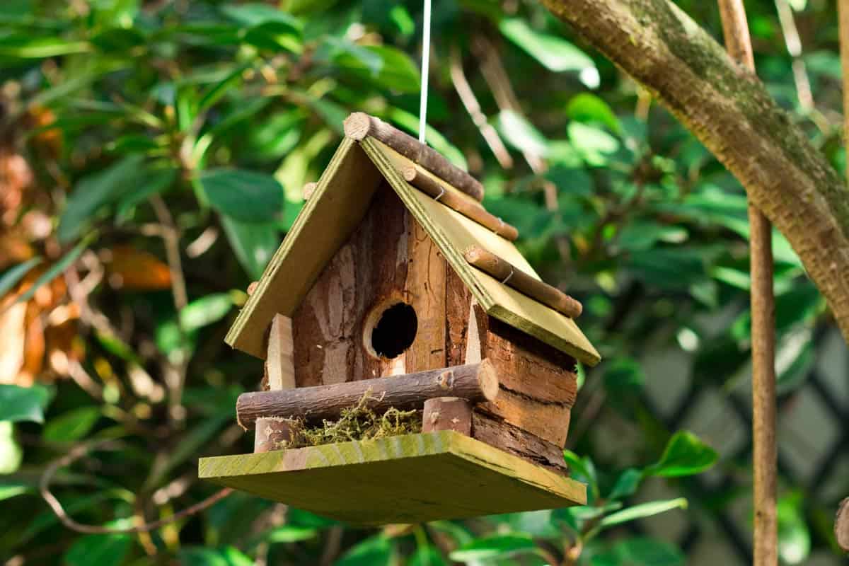 Un nichoir ouvert pour le plus grand plaisir des oiseaux de votre jardin.