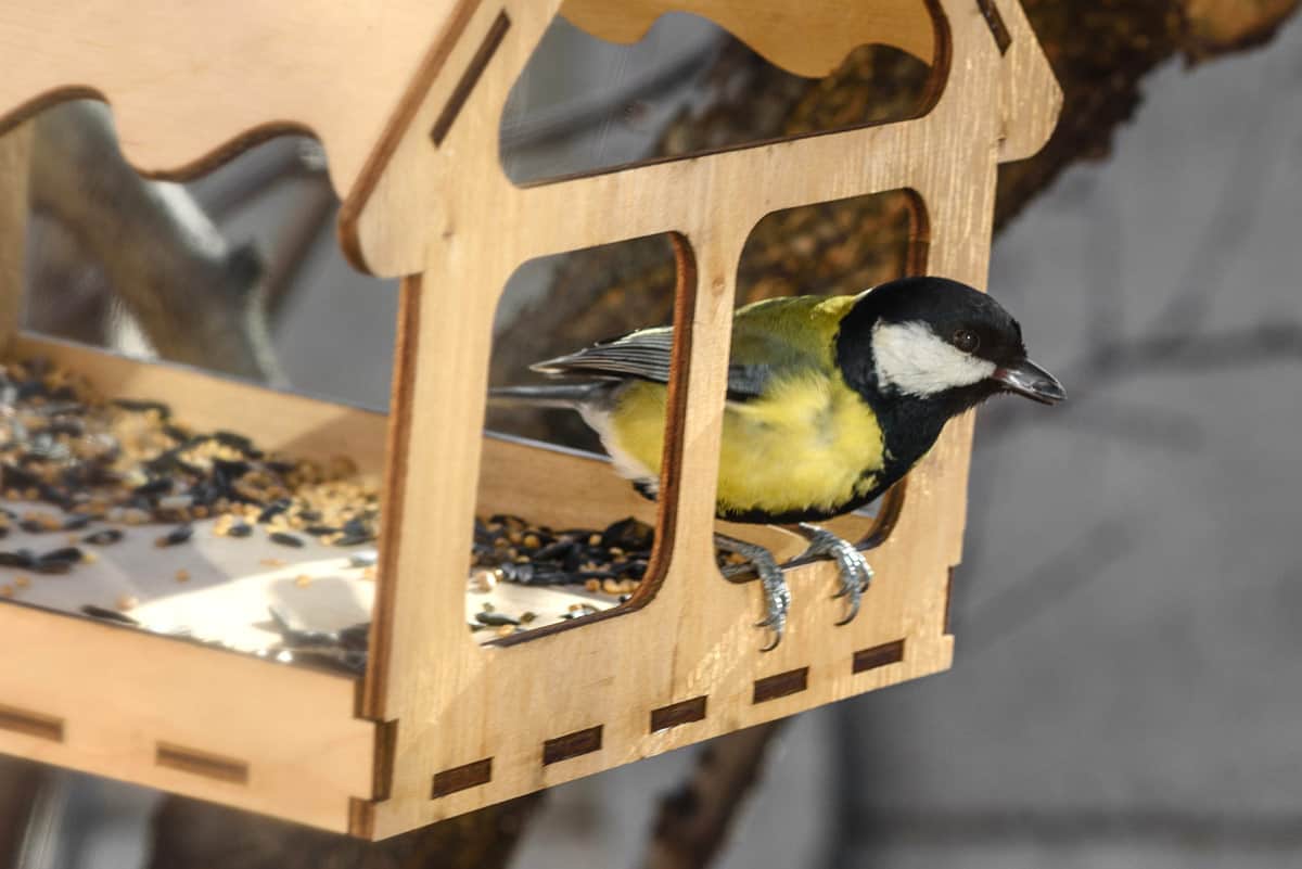 Un nichoir ouvert pour le plus grand plaisir des oiseaux de votre jardin.