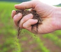 améliorer la qualité de la terre du potager