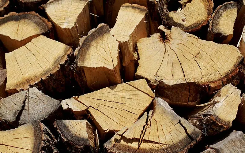 Aviez-vous l'habitude de choisir un bois tendre ou un bois dur ?