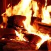 reconnaître le bois de chauffage de qualité supérieure