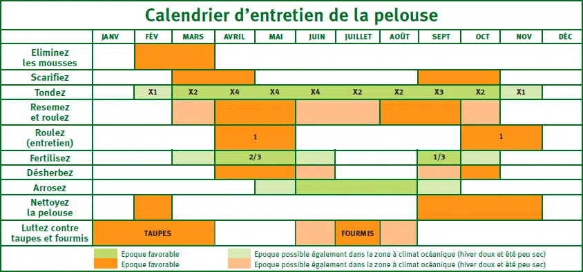 calendrier d'entretien du gazon