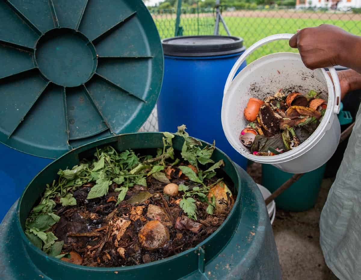 Cinq conseils pour vraiment réussir son compost