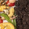 Utilisation du compost