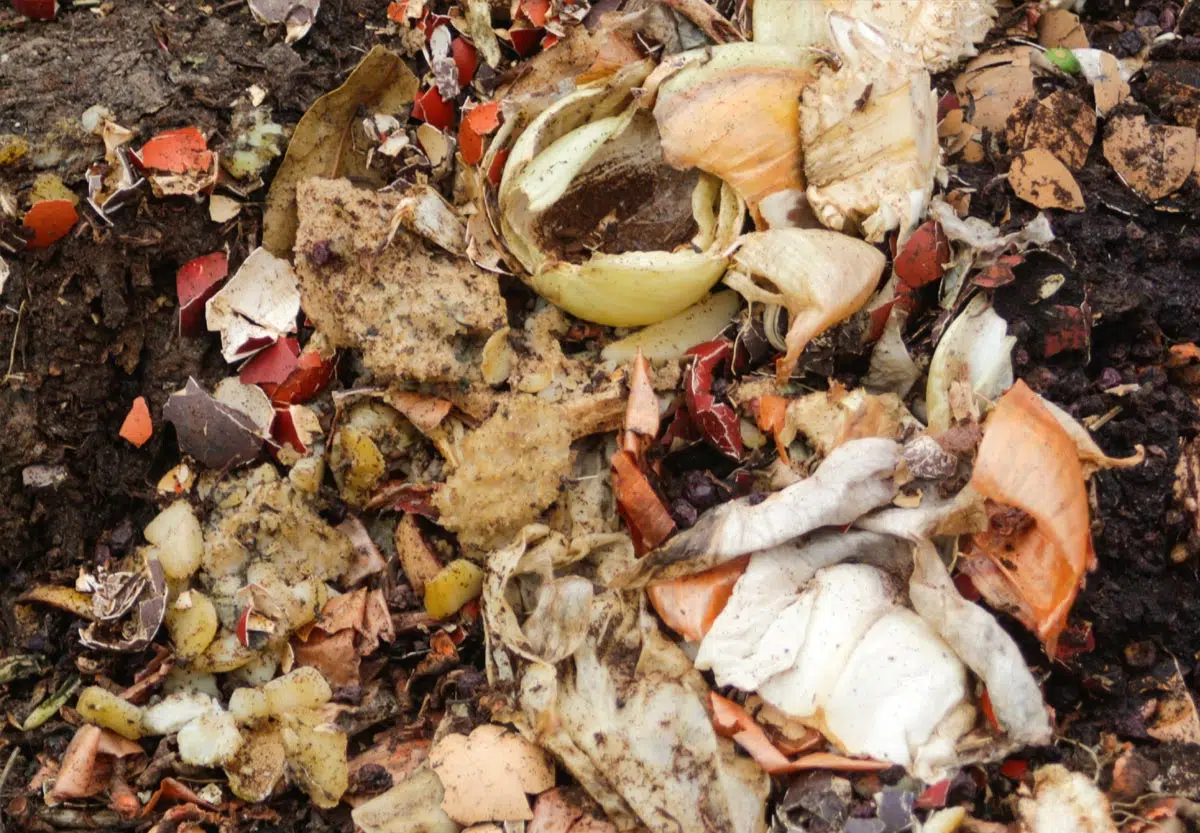 Astuces compost