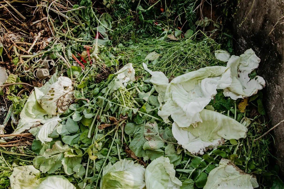 La « recette ». Comment réaliser son compost 