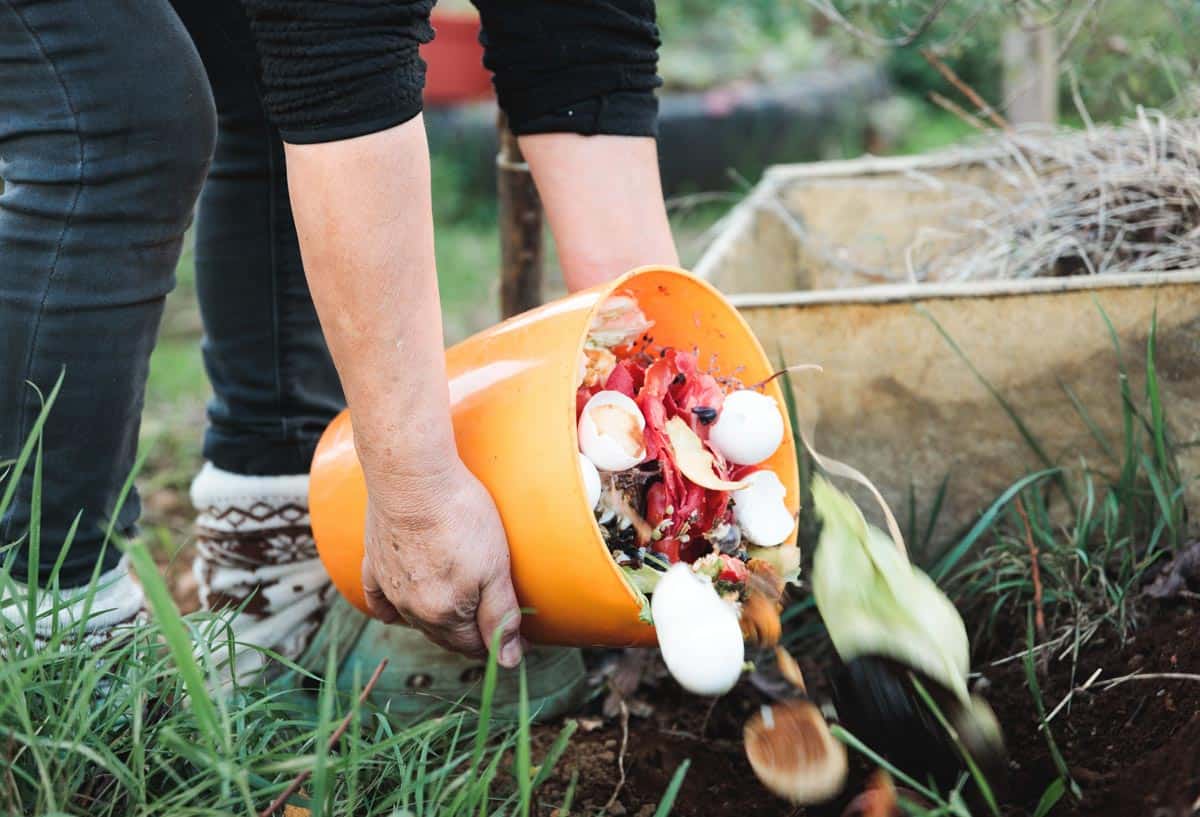 Créer un potager : conseils et astuces de pro