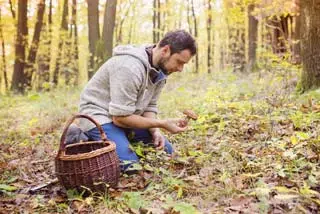 Préserver les filaments micellaires