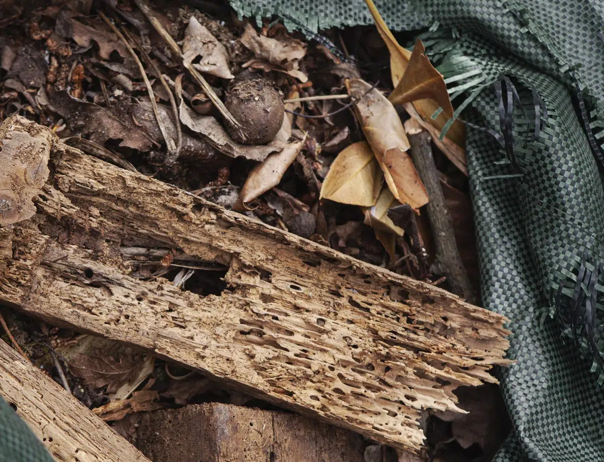 Déchets plus gros au compost