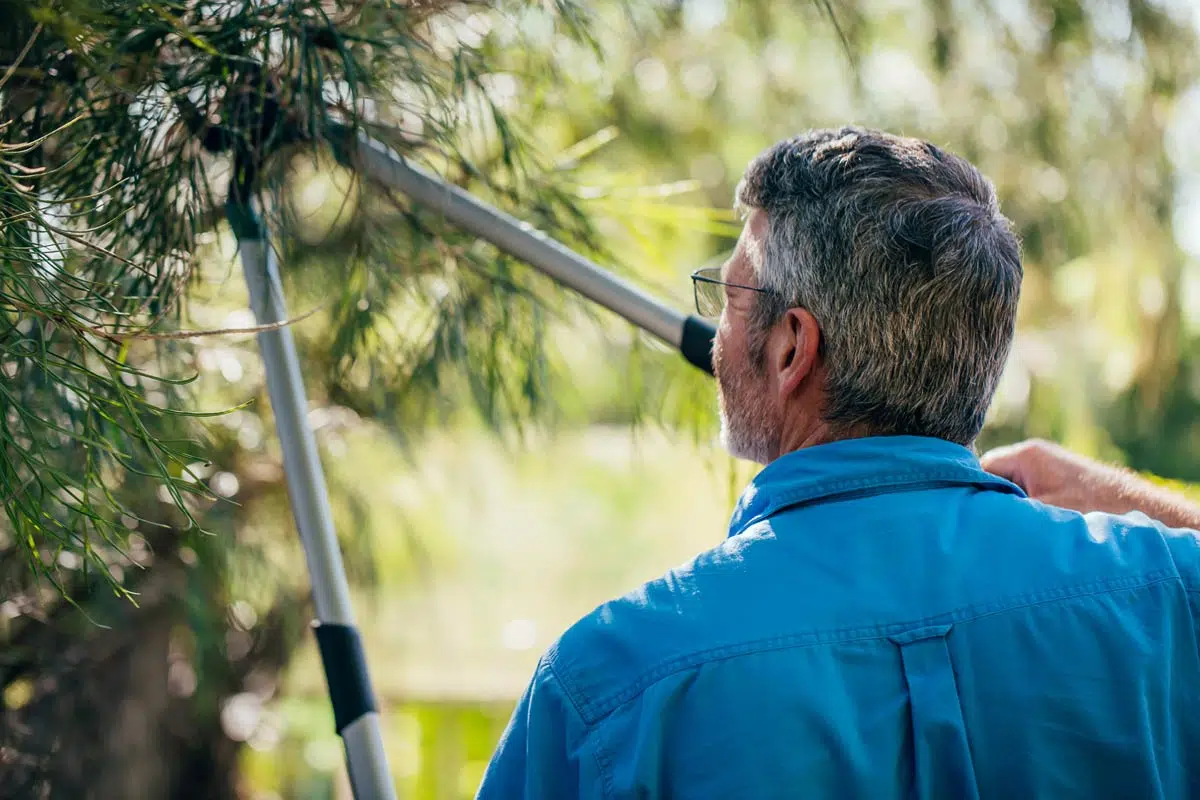 Homme coupe une branche d'arbre