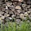 Préparer les bûches pour l'hiver
