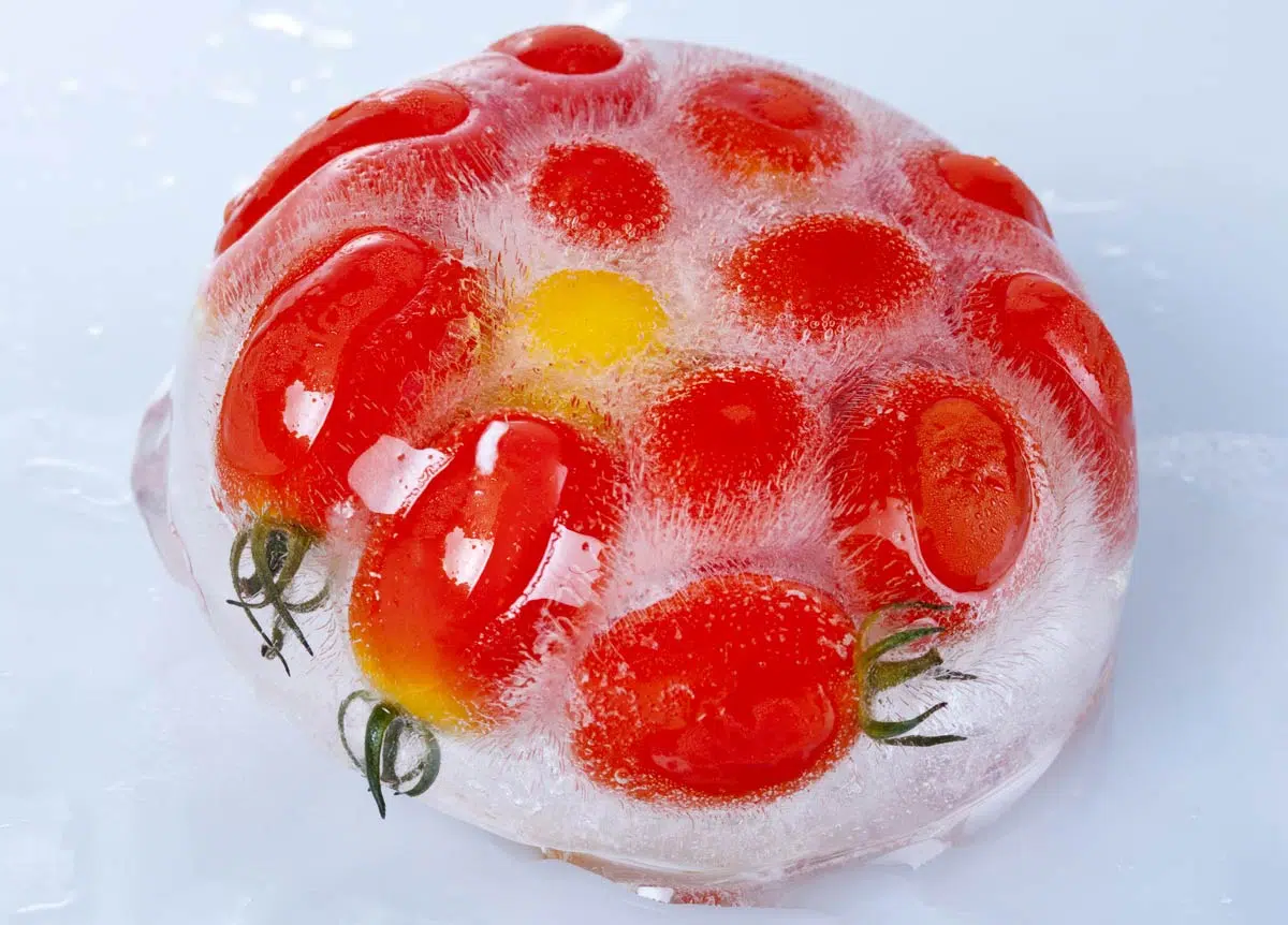 Tomates congelées
