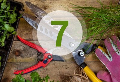 7 outils que tout bon jardinier devrait avoir