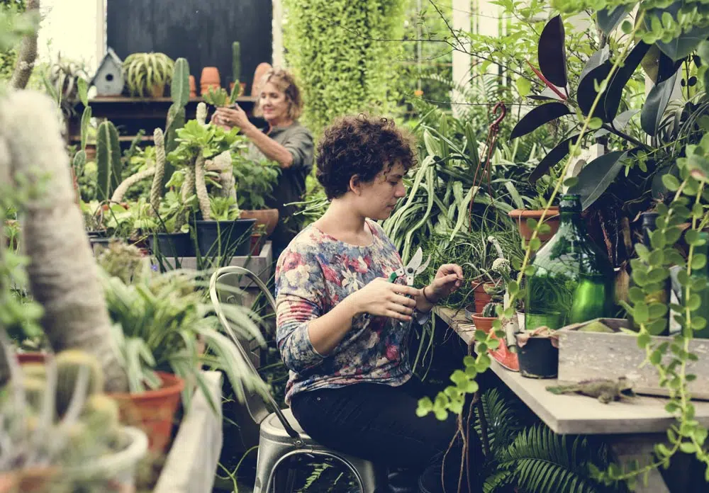 Les bienfaits du jardinage sur la santé mentale