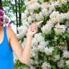 8 plantes de terre de bruyère