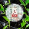 Calendrier semis en PDF