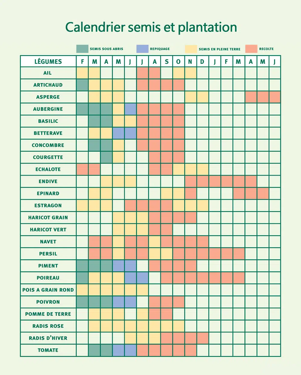 Calendrier des semis et plantation