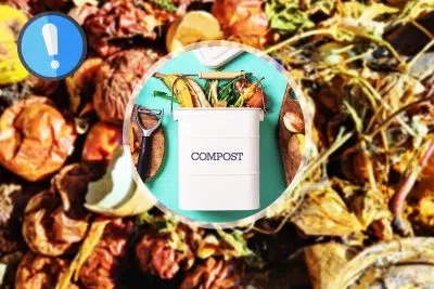 compostage obligatoire pour tous