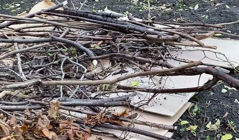 Culture en lasagne : ajout d'un couche de bois