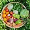 fruits et légumes à ne surtout pas manger avec la peau
