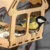 Comment nourrir les oiseaux