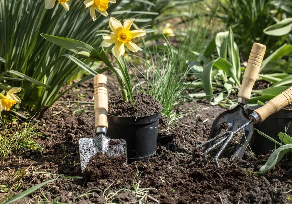 Outils pour planter des végétaux