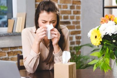 plantes d’intérieur et personnes allergiques