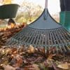 soins au potager en début d'automne
