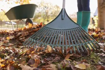 soins au potager en début d'automne