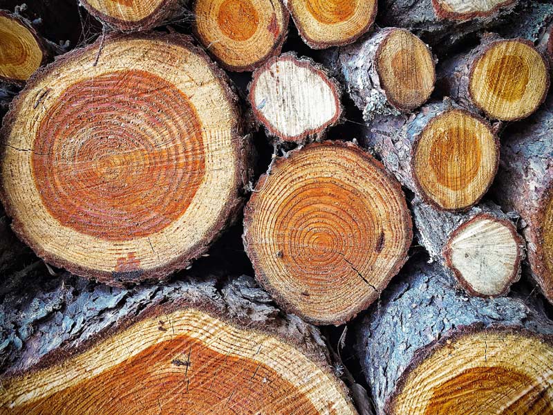 Bien choisir le bois pour se chauffer.