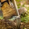 Les gestes du potager pour le mois de novembre
