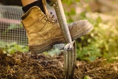 Les gestes du potager pour le mois de novembre