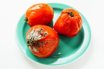 manger des légumes avec des moisissures