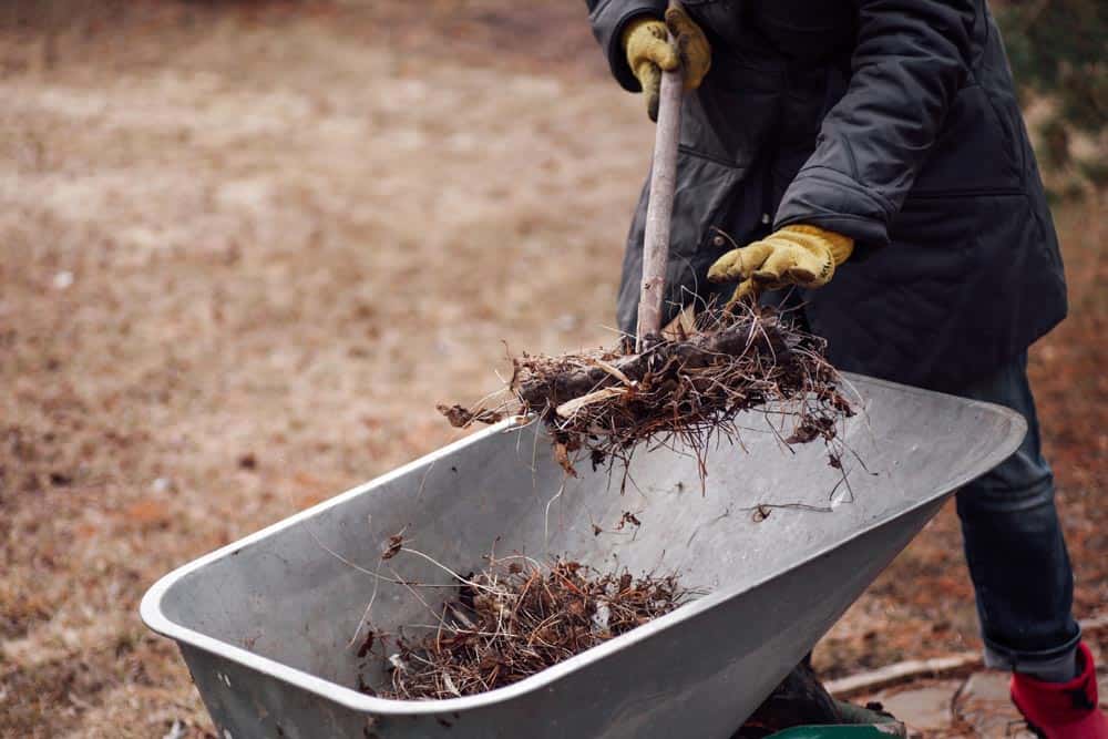 Nettoyage du potager