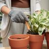 plantes dépolluantes et non toxiques
