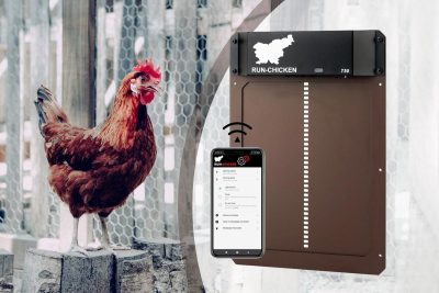 Porte automatique poulailler