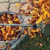 couvrir et enrichir le sol du potager en automne