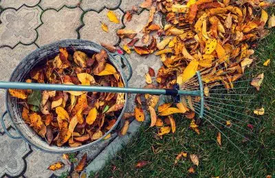 couvrir et enrichir le sol du potager en automne