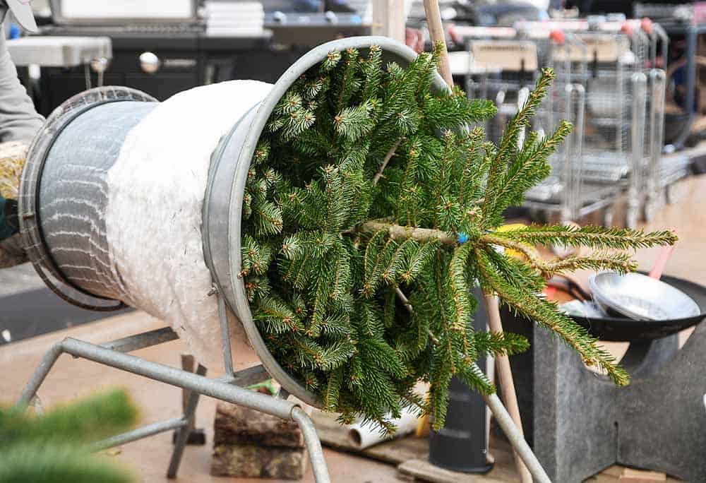 Machine pour emballer les sapins de Noël.