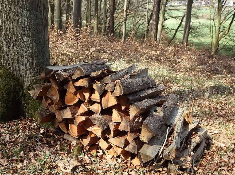 Il est strictement interdit de ramasser du bois en forêt.