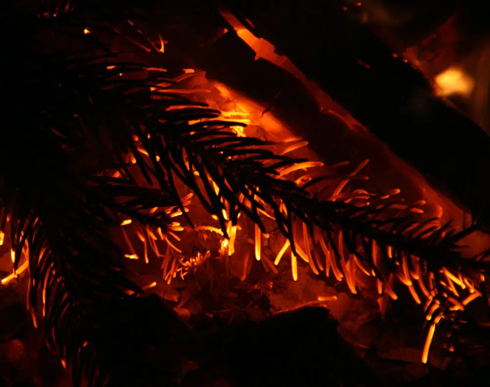 Faire brûler son sapin de Noël.