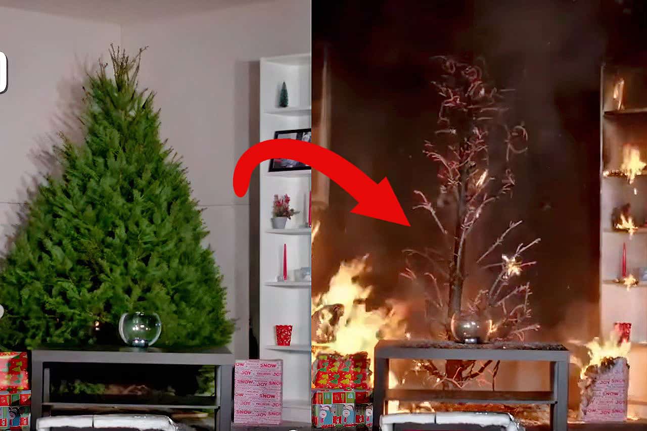 Sapin de Noël, un brasier potentiel