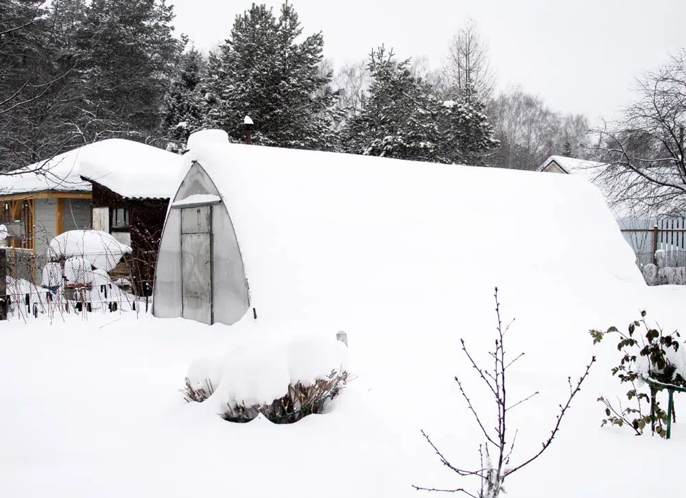 Serre en hiver recouverte de neige.