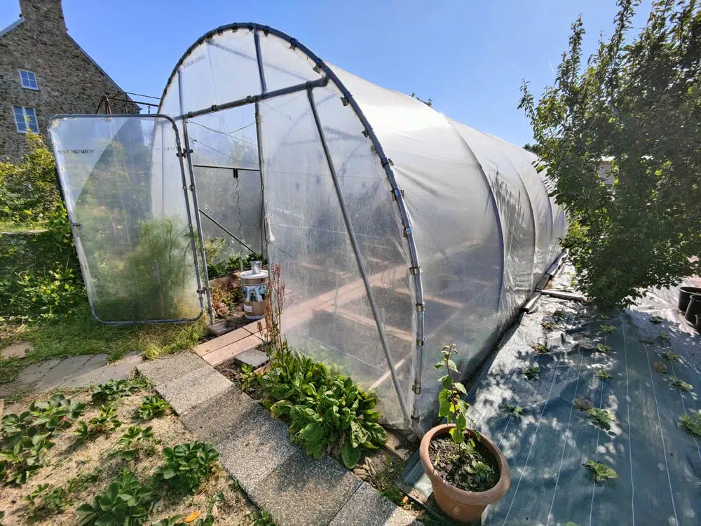 Serre tunnel au potager.