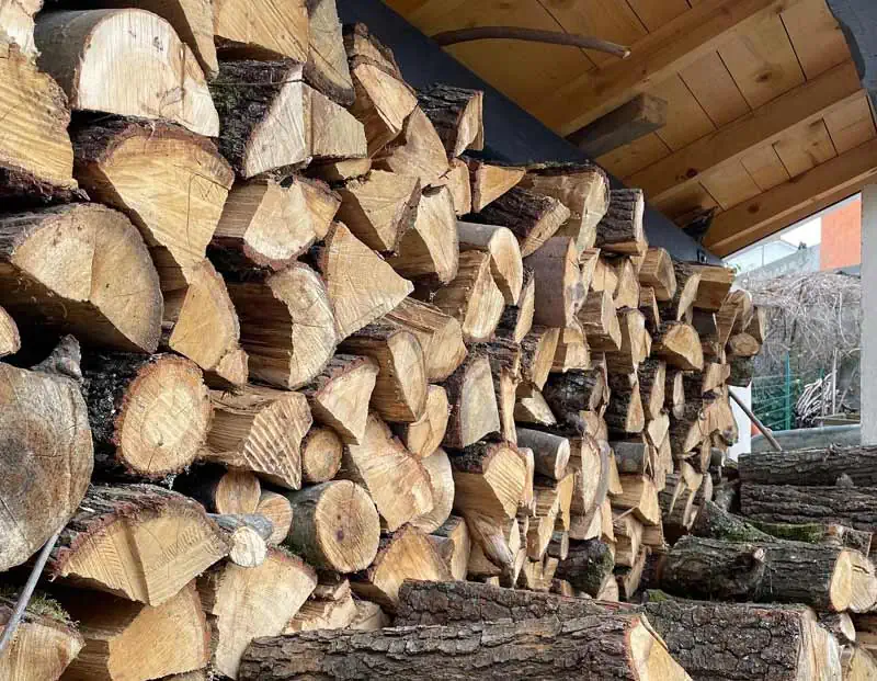 Mon stock de bois pour passer l'hiver.