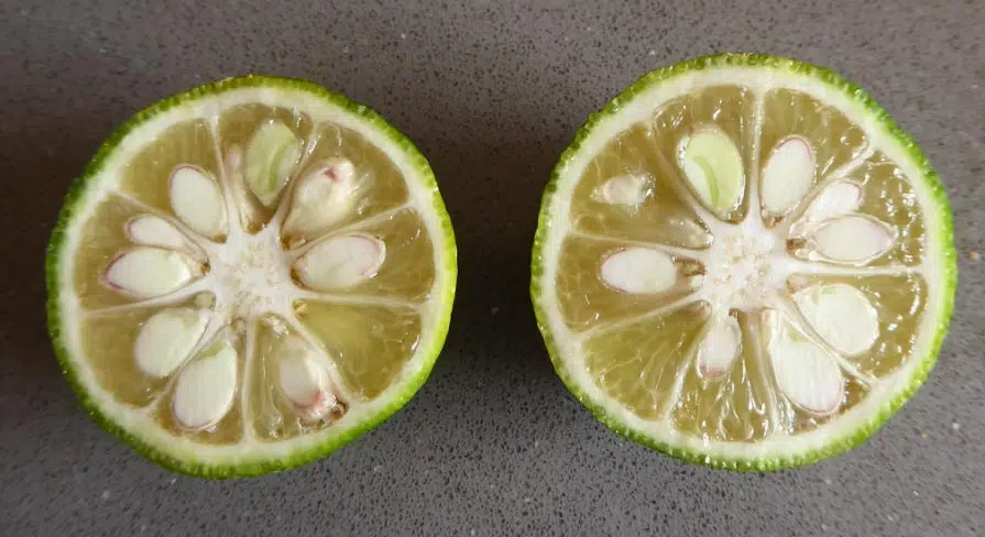 De la taille d’une mandarine, cet agrume renferme beaucoup de pépins et peu de jus.