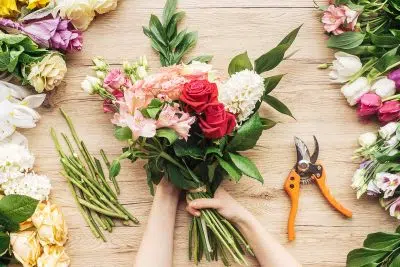 Que signifie la gypsophile dans le langage des fleurs ?